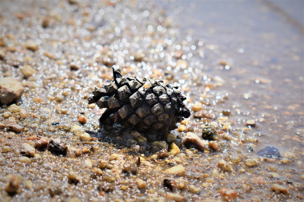 Tento obrázek nemá vyplněný atribut alt; název souboru je dsc_0470-2-1.jpg.